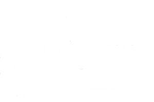 MCR Industrie